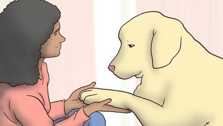 How to Help an Older Dog Grieve the Loss of Its Owner