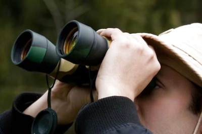 US Man’s Terrifying Discovery In A Birdhouse Leaves Internet Shocked