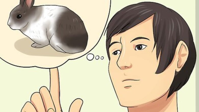 How to Care for Dutch Rabbits