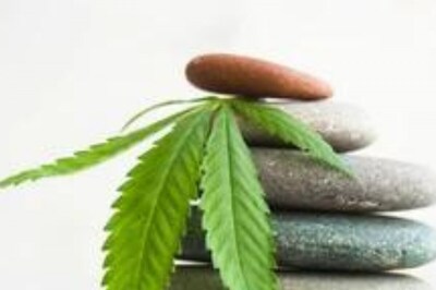 Kerala Ayurvedic Retreat Introduces Asia's First Cannabis Based Treatment