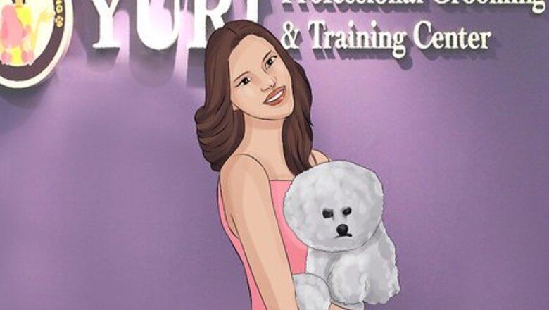 How to Start a Mobile Pet Grooming Service
