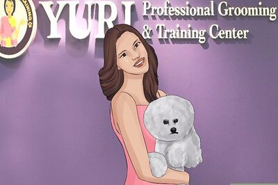 How to Start a Mobile Pet Grooming Service