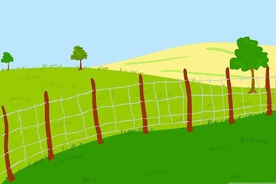 How to Graze Cattle on Pasture