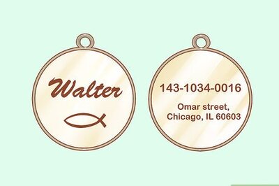 How to Keep Your Cat Safe on Independence Day