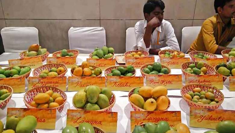 It's an 'aam' affair in aam aadmi's Delhi