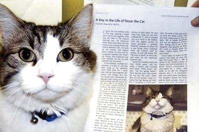 Meet Oscar The Therapy Cat Who Could Predict Death And Provide Comfort to Patients