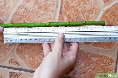 How to Make a Willow Whistle