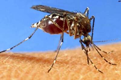 Tamil Nadu: Health Department takes steps to prevent spreading of dengue fever