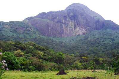 Women Can Visit Agasthyakoodam Peak in Kerala, Says Forest Minister