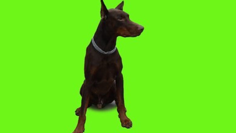 How to Use Greenscreen on Windows Movie Maker
