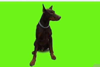 How to Use Greenscreen on Windows Movie Maker