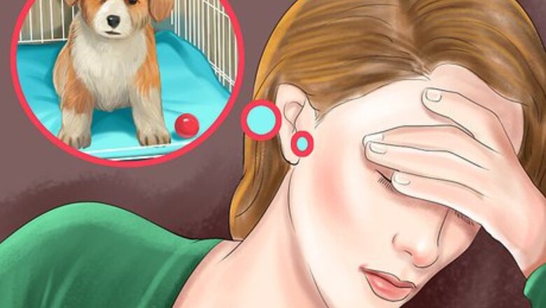 How to Be Patient with Your Puppy