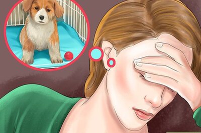 How to Be Patient with Your Puppy