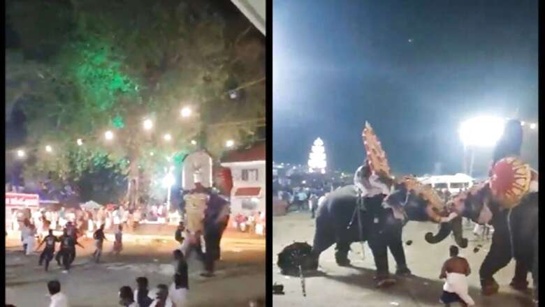 On Cam, Bejewelled Kerala Elephant Ran Amok on Seeing Fellow Tusker | This Happened Next
