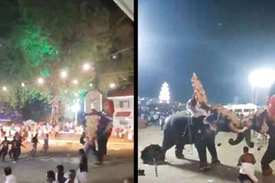 On Cam, Bejewelled Kerala Elephant Ran Amok on Seeing Fellow Tusker | This Happened Next
