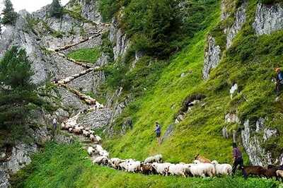 Switzerland the best place to be born in 2013