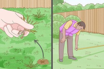 How to Make a Beach