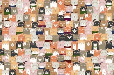 Optical Illusion: Spot The Origami Cat In 6 Seconds; You Don't Need Hint