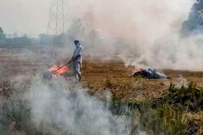 Ahead of Last Leg of Paddy Harvest, Punjab Records 57% Increase in Farm Fires Compared to 2018